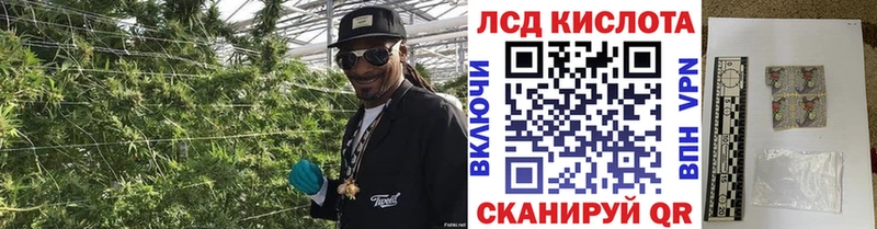 Марки 25I-NBOMe 1500мкг  Куровское 